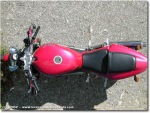 Triumph Speed Triple 955i