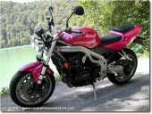 Triumph Speed Triple 955i