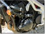 Triumph Speed Triple 955i