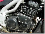 Triumph Speed Triple 955i