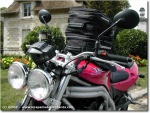 Triumph Speed Triple 955i