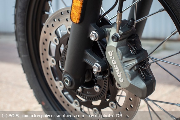 Frein de la Triumph Street Scrambler