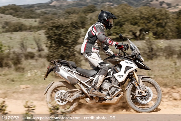 La Tiger Rally Pro n'a pas de crash-bares supérieurs
