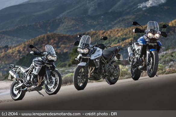 Coloris des Triumph Tiger XRx