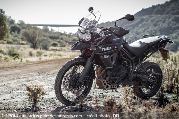 Triumph Tiger 800 XCx