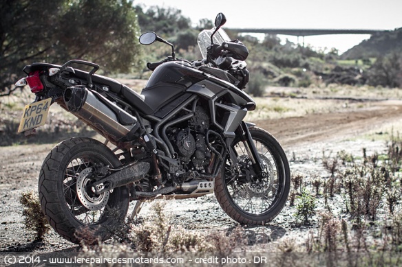 Vue arrière de la Triumph Tiger XCx