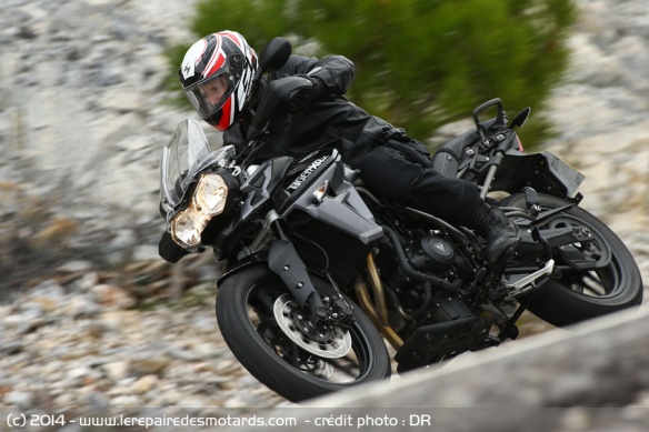 Triumph Tiger XRx 800
