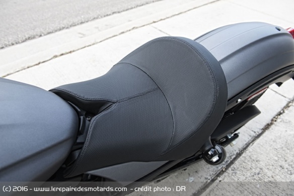 Le confort de la selle montre quelques signes de faiblesses sur les longues distances