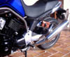 Bulldog8