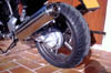 Bulldog10