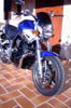 Bulldog12