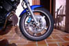Bulldog22
