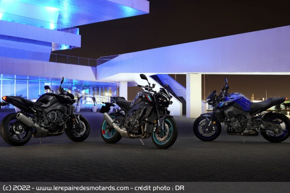 3 coloris pour le millesime 2022