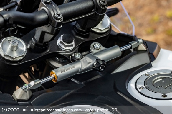 L'amortisseur de direction de la Yamaha Ténéré 700 World Raid
