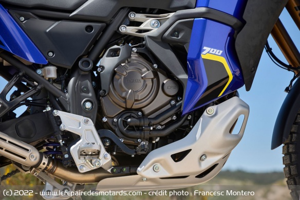 Le bicylindre CP2 de la Yamaha Ténéré 700 World Raid