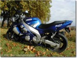 Yamaha YZF Thundercat