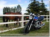 Yamaha XJR 1300