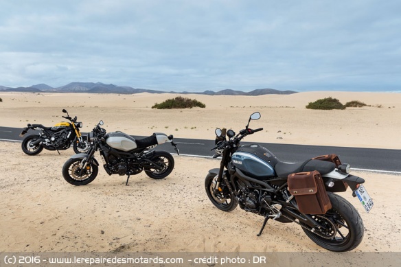 Gamme et coloris Yamaha XSR 900