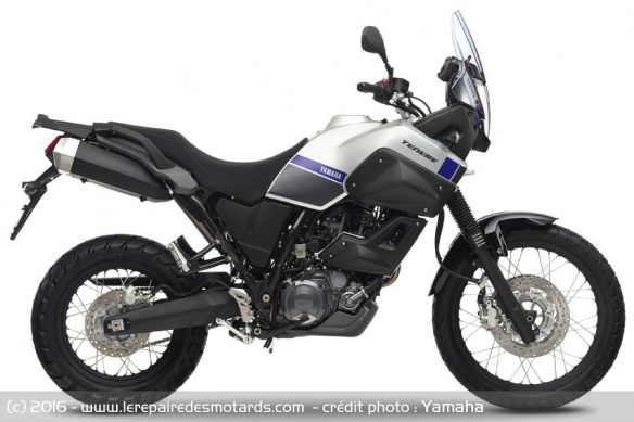 Essai Yamaha XT660Z Ténéré : profil studio 
