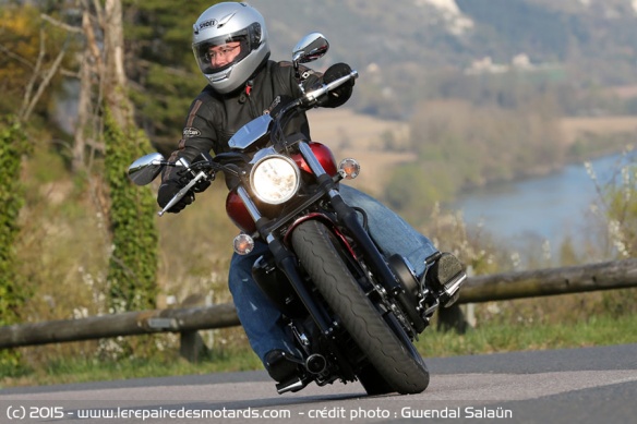 Custom Yamaha XVS 1300