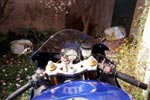 Kawasaki ZX-6R 636 millséime 2005