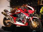 Tuning 600 Bandit