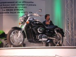 Stand Kawasaki - VL 1500