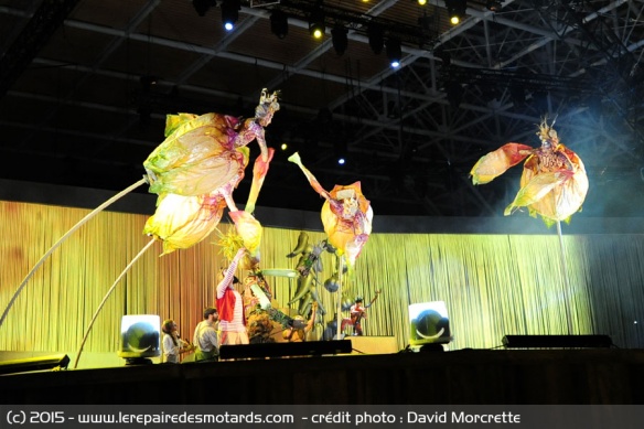 Spectacle du cirque du soleil 