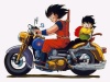 Dragon Ball (c) Akira Toryama - à voir sur www.dragonweb.fr.st