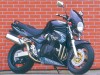 Bandit 1200 Alcatraz - (c) Option Moto Sylvain Le Bellec
