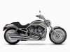 Harley VRod