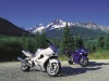 Kawasaki ZZR 1200