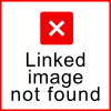 mptv1.gif