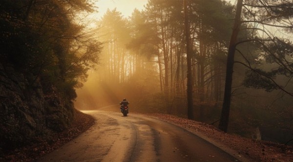 Chronique : la solitude à deux roues