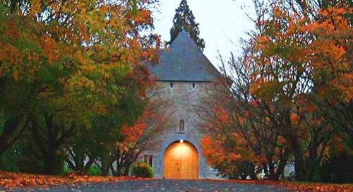 Road-trip dans les ardennes belges 