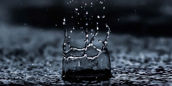La pluie, comme une habitude à prendre (c) photo : Sourav Mishra
