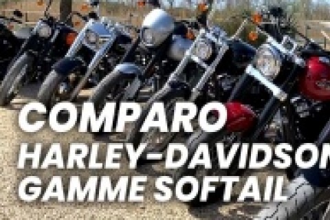 Comparo Harley-Davidson gamme Softail
