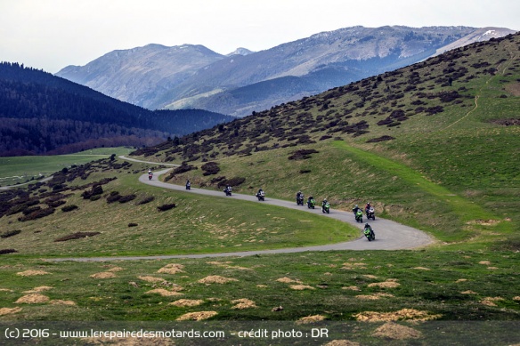Direction les Pyrénées pour la découverte des Cols Verts