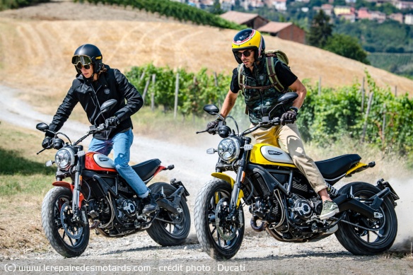 Ducati Scrambler 800 icon