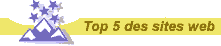 Top 5 des sites web - Brainpollen