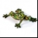 lefrog