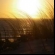 Surfeur