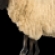 Euromouton