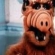 Alf