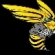 hornet-s