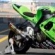 Lime Green