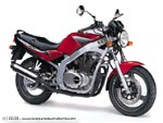 Suzuki GSE 500