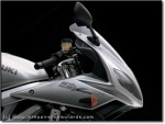 Suzuki SV 1000 modèle 2003