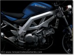 Suzuki SV 1000 modèle 2003