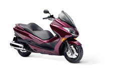 Honda Forza Z S-Matic
